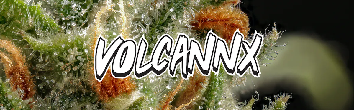 VOLCANNX brand banner