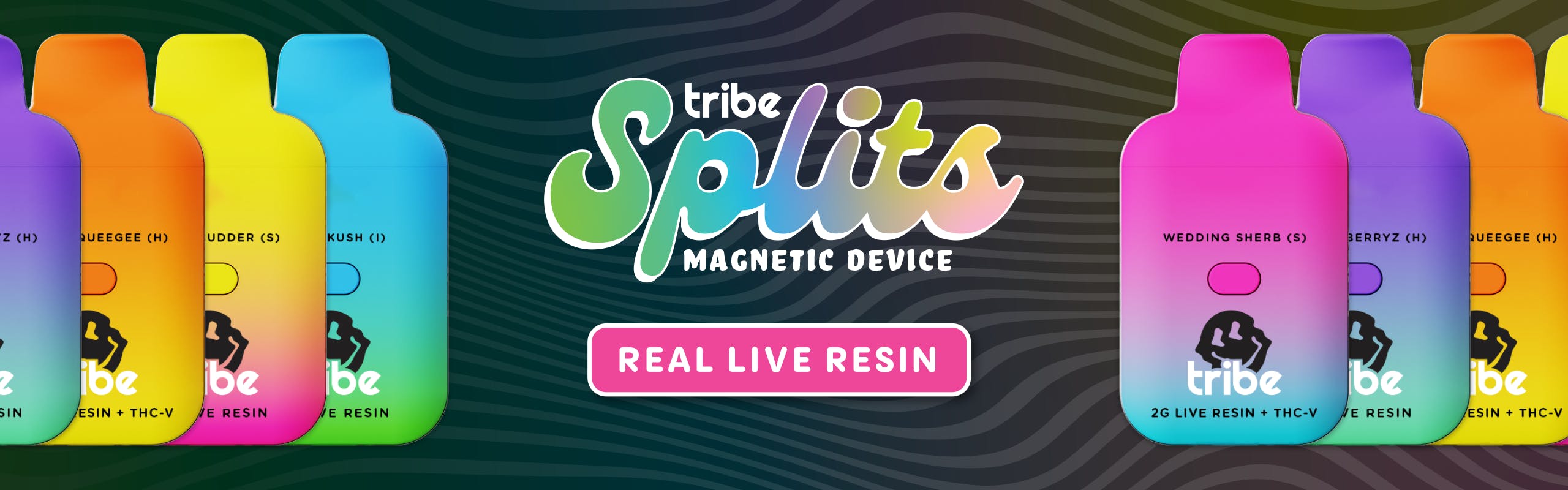 Tribe brand banner