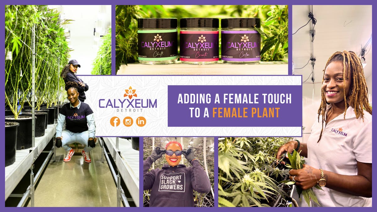 Calyxeum brand banner