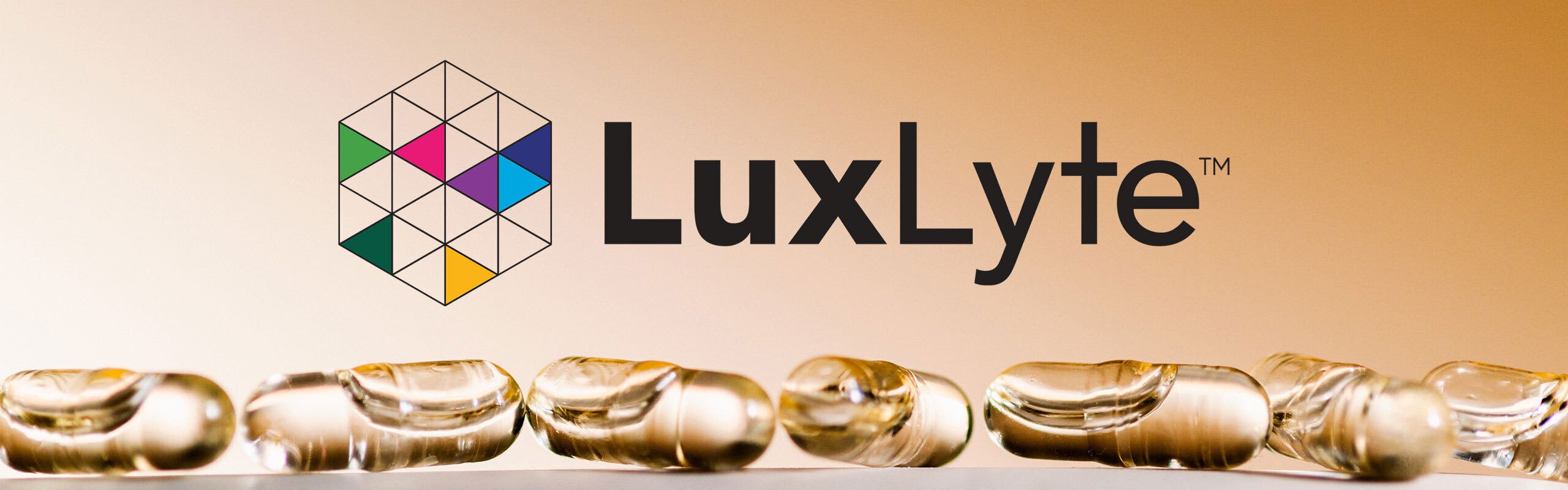 LuxLyte brand banner