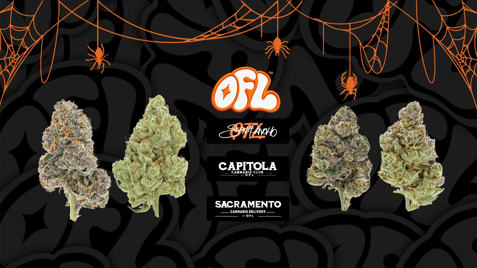 Oakfruitland (OFL)