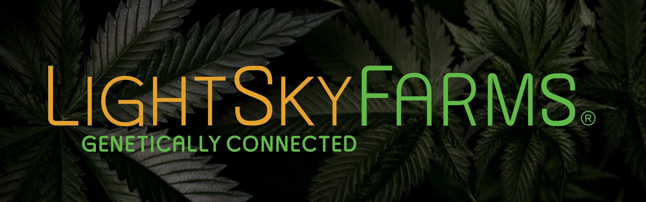 LightSky Farms brand banner