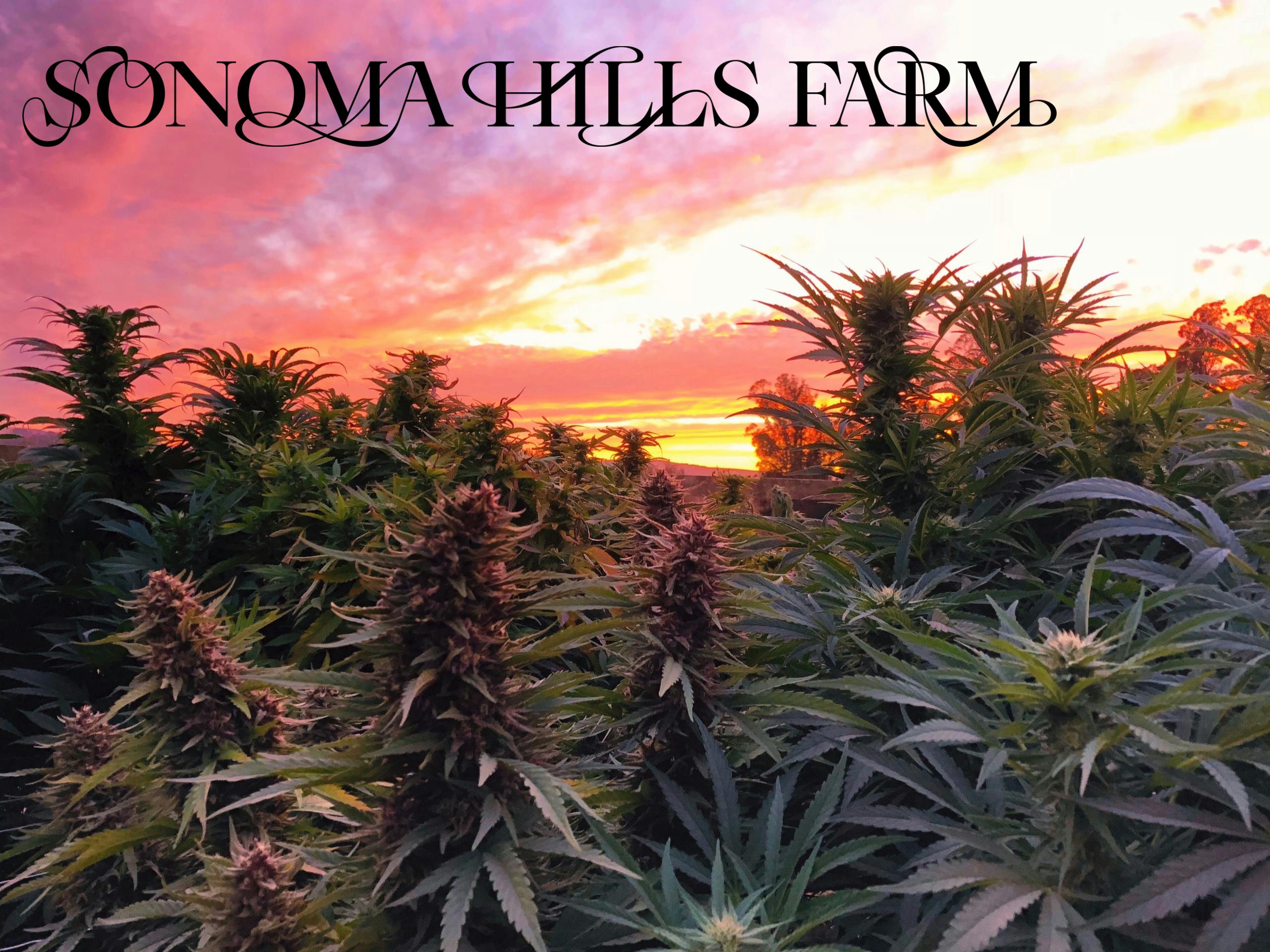 Sonoma Hills Farm