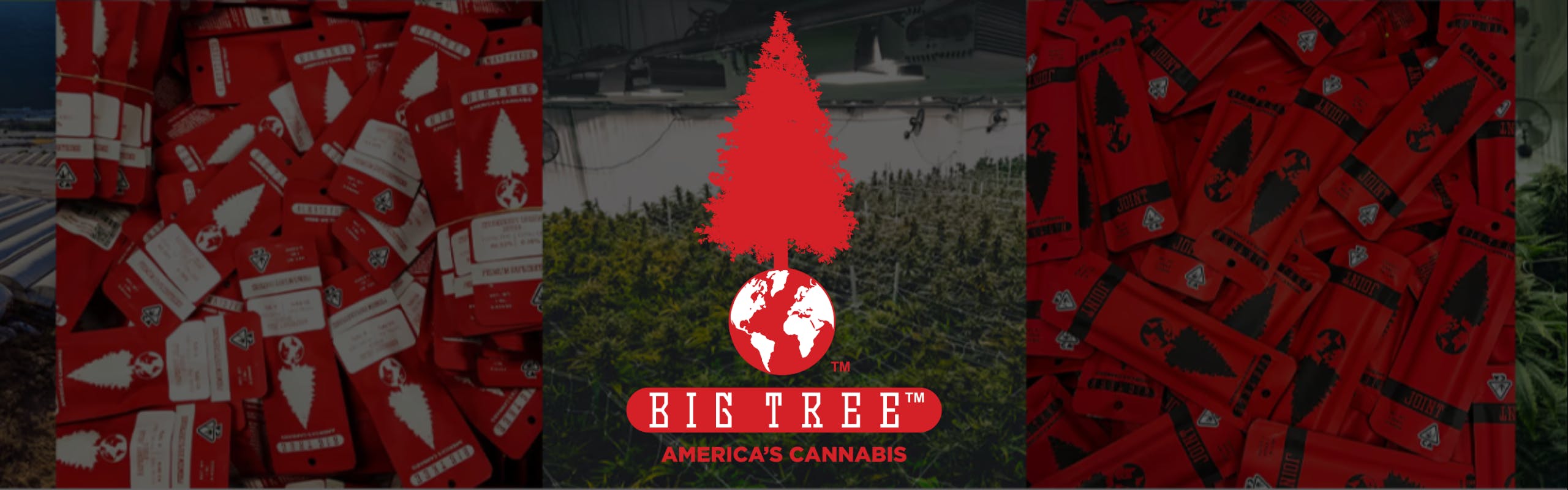 Big Tree brand banner