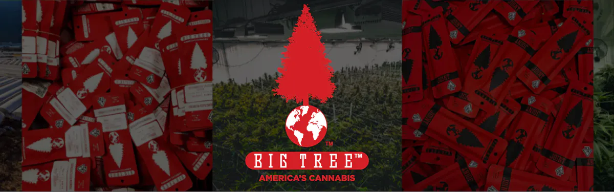 Big Tree brand banner