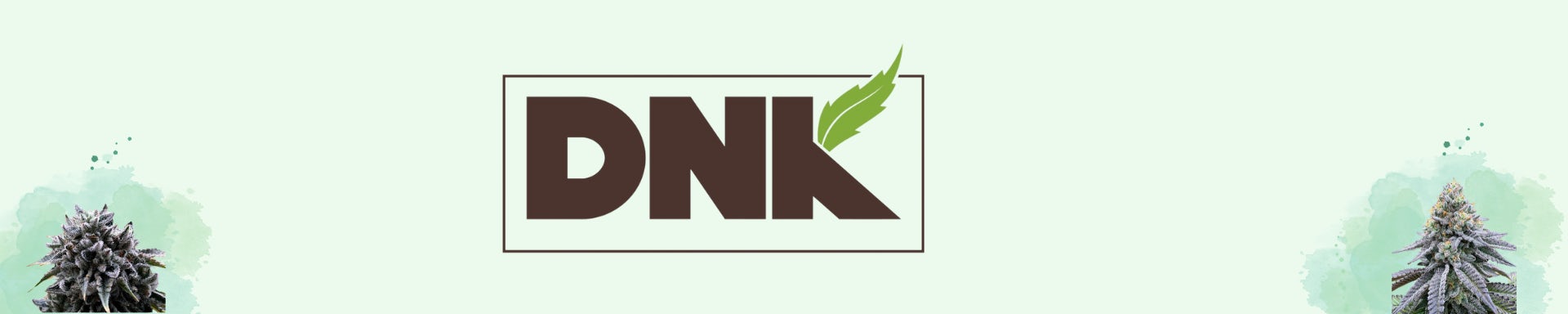 Find DNK Growers Near Me Weedmaps find-dnk-growers-near-me-weedmaps