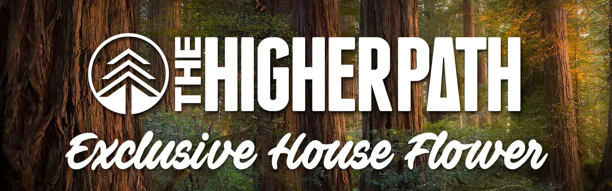 The Higher Path brand banner