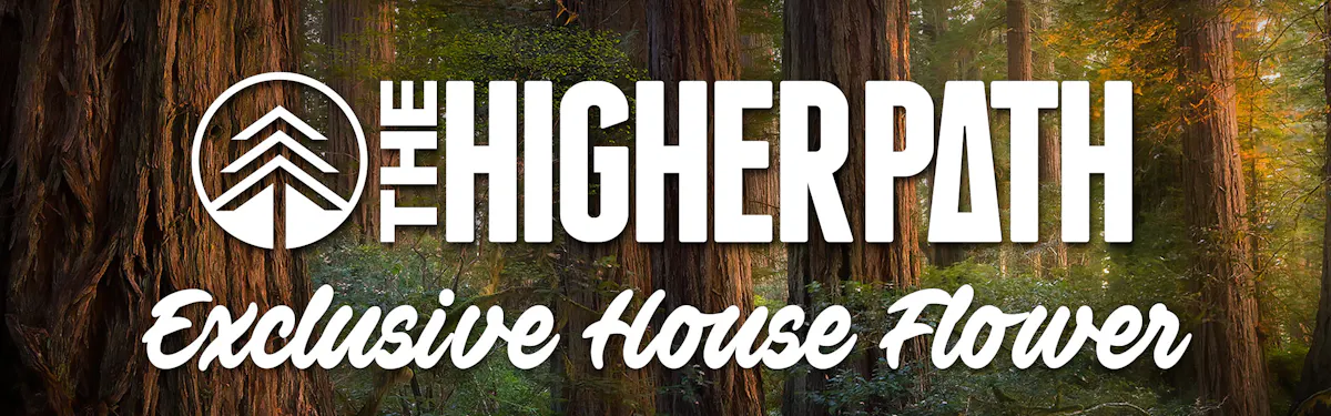 The Higher Path brand banner