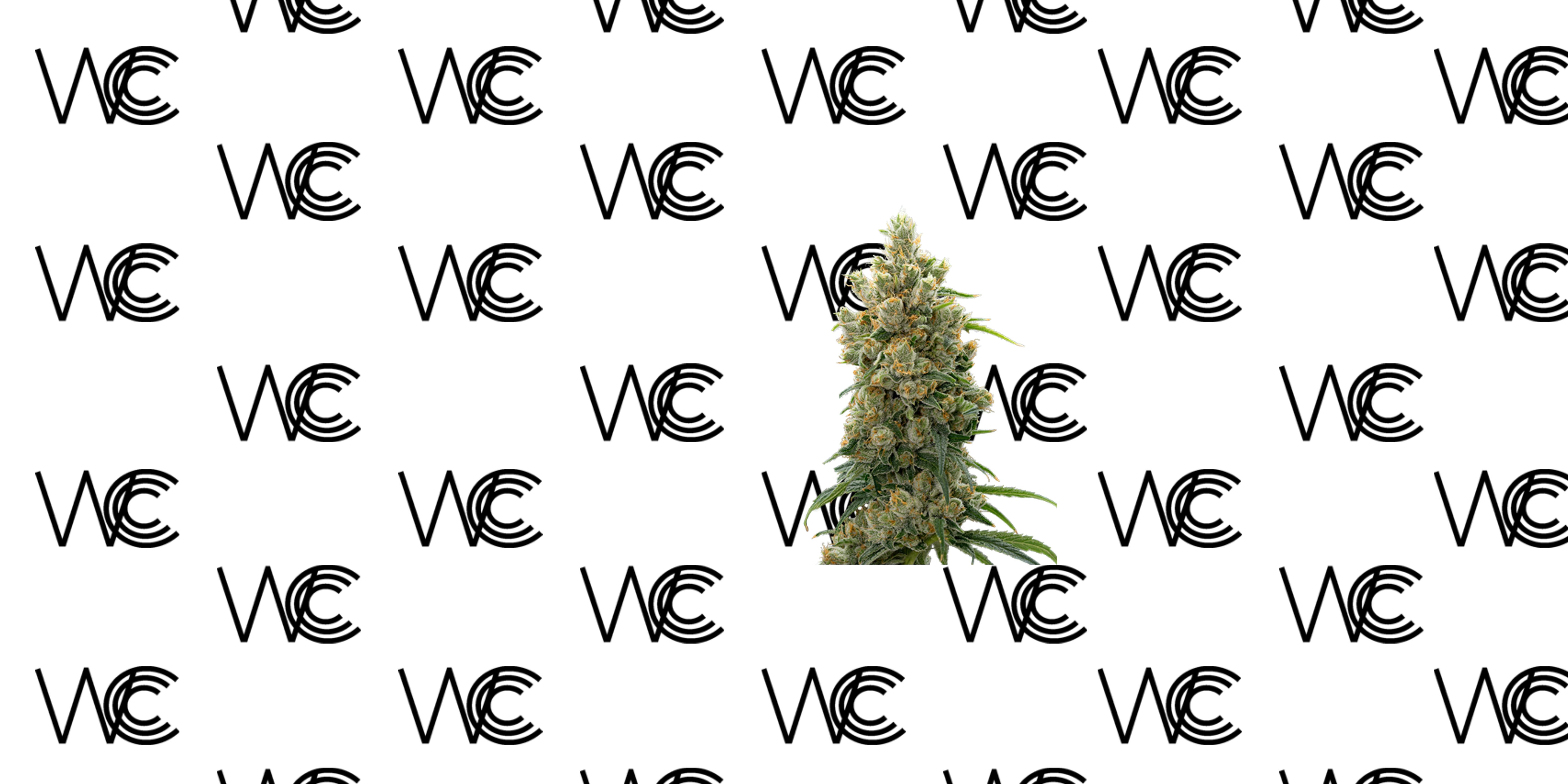 West Coast Cannabis Club brand banner