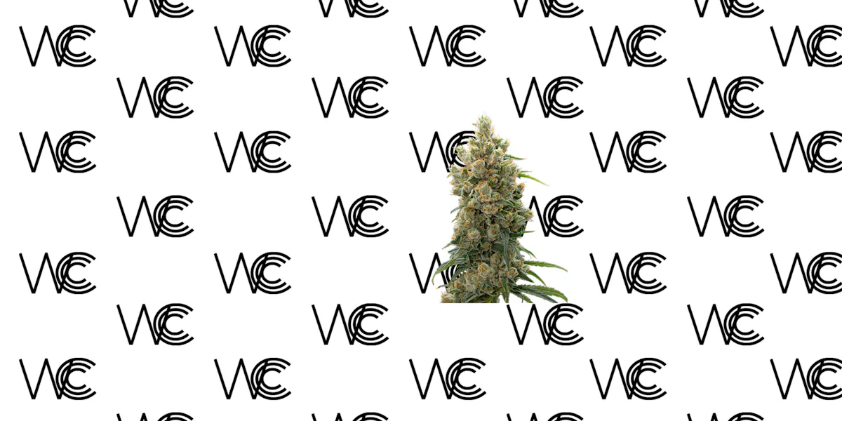 West Coast Cannabis Club brand banner
