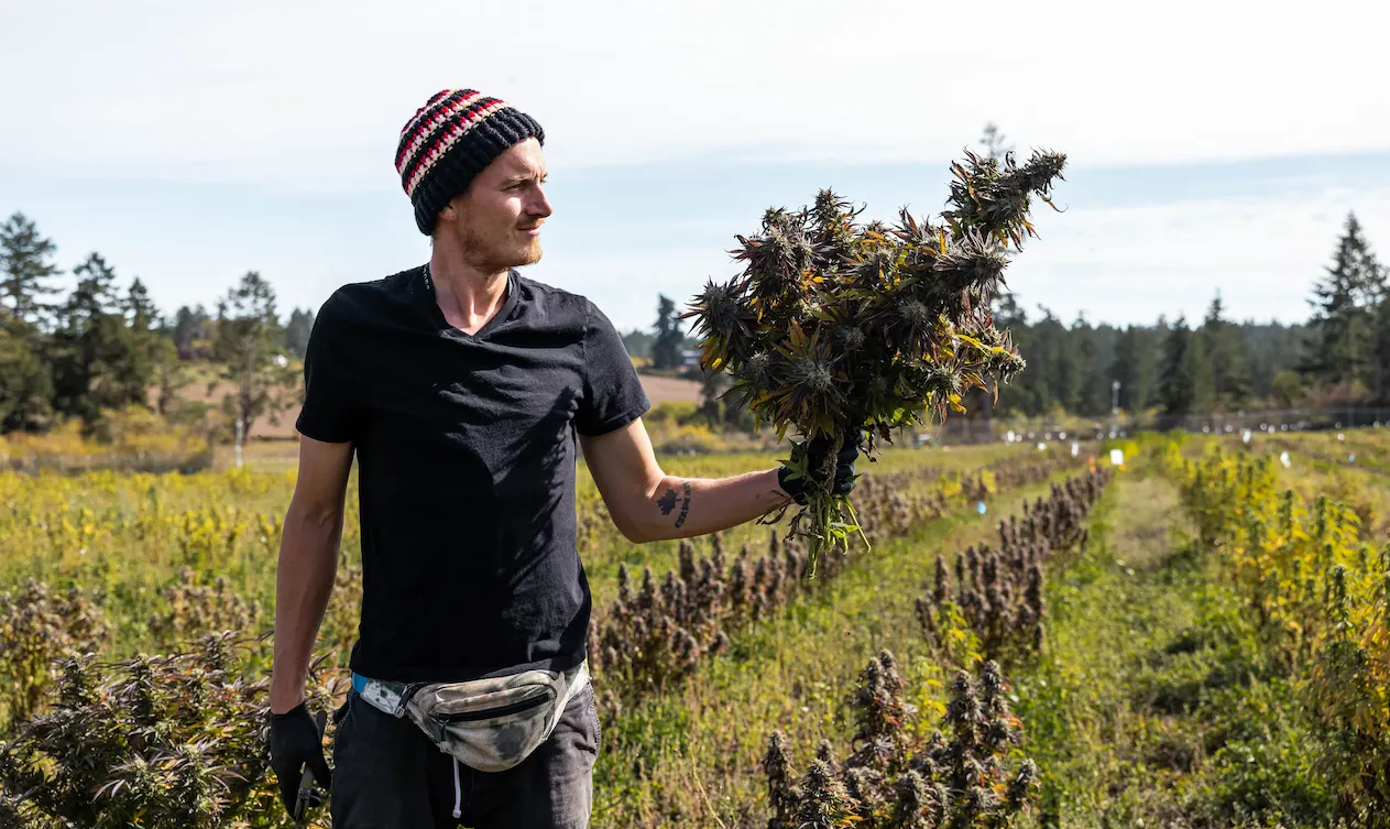 Good Buds Organic brand banner