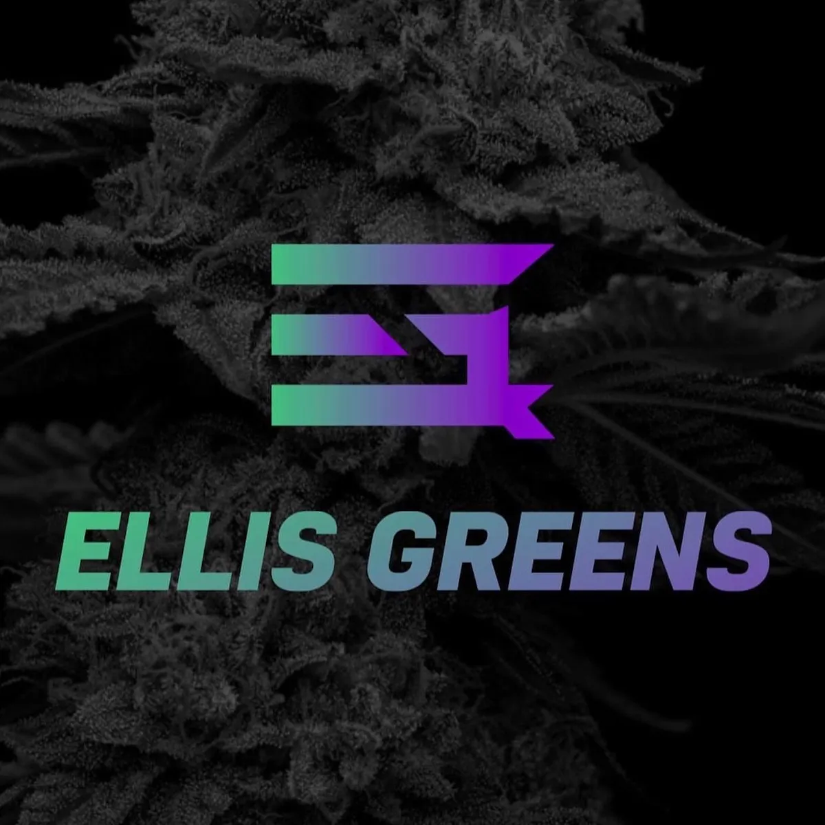 Ellis Greens brand banner