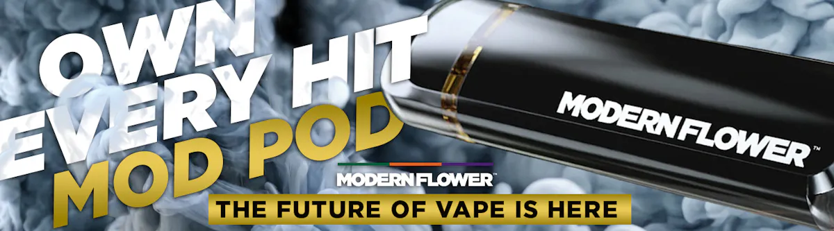 Modern Flower brand banner