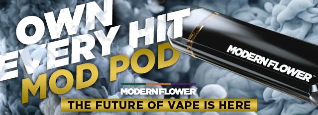 Modern Flower