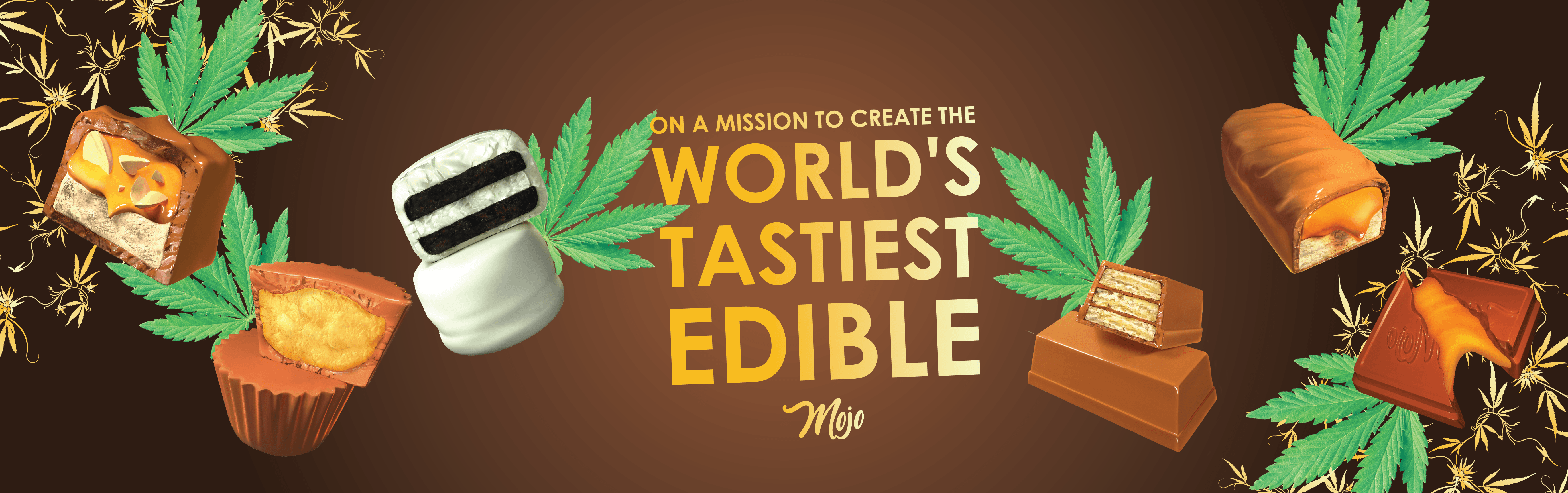 Mojo Chocolates brand banner