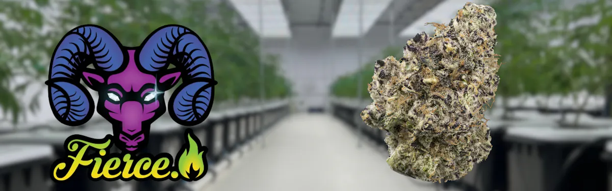 FIERCE CULTIVATION brand banner
