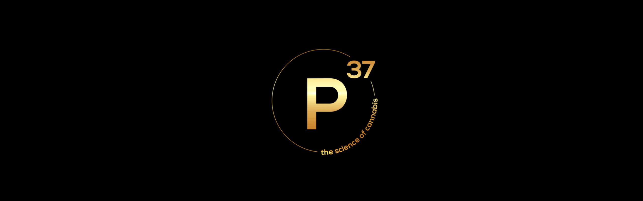 P37 brand banner