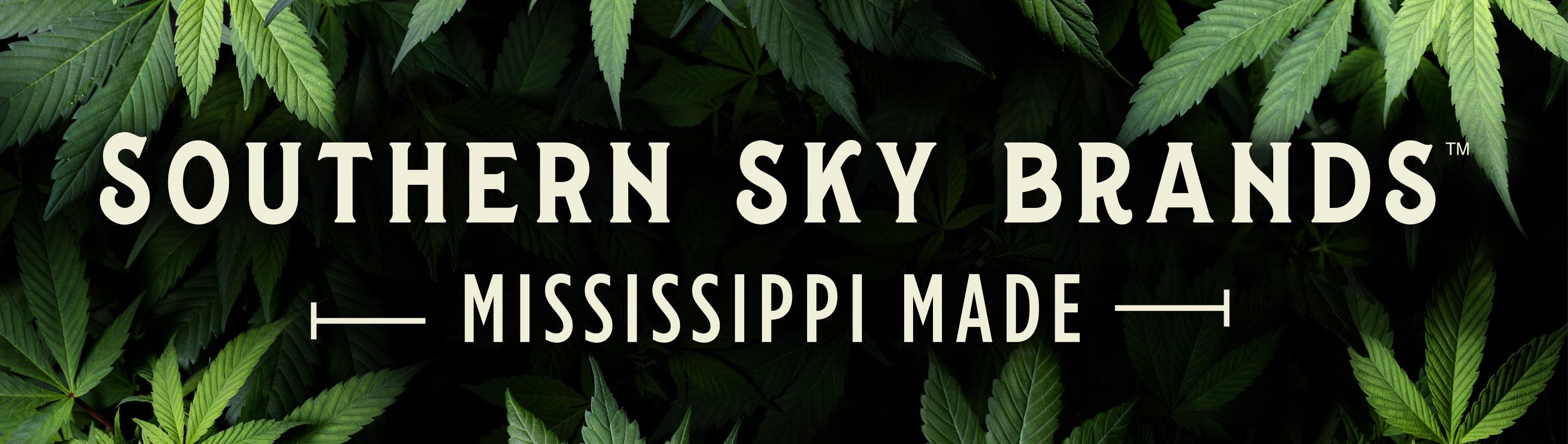 Southern Sky Brands brand banner