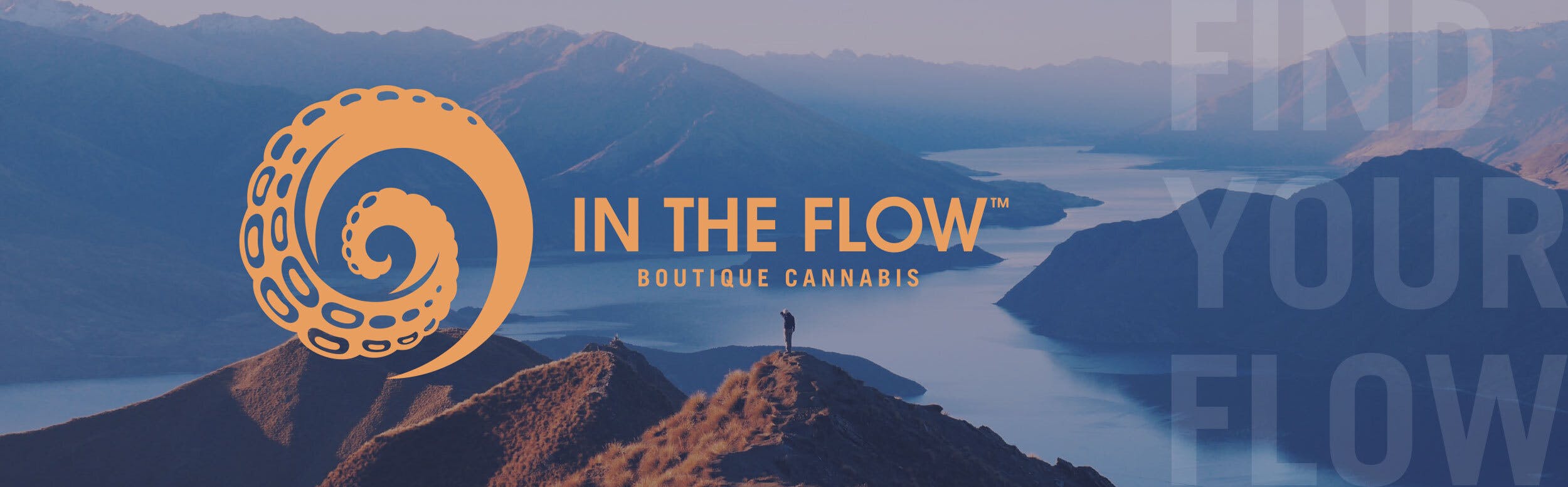 In The Flow brand banner
