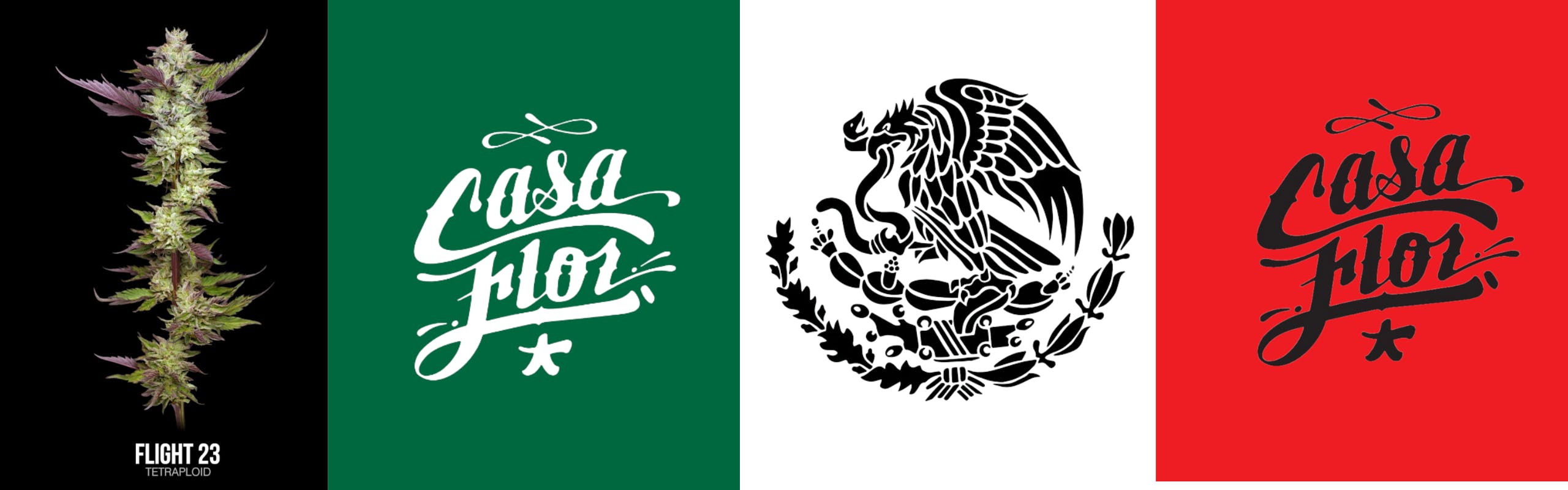 Casa Flor brand banner