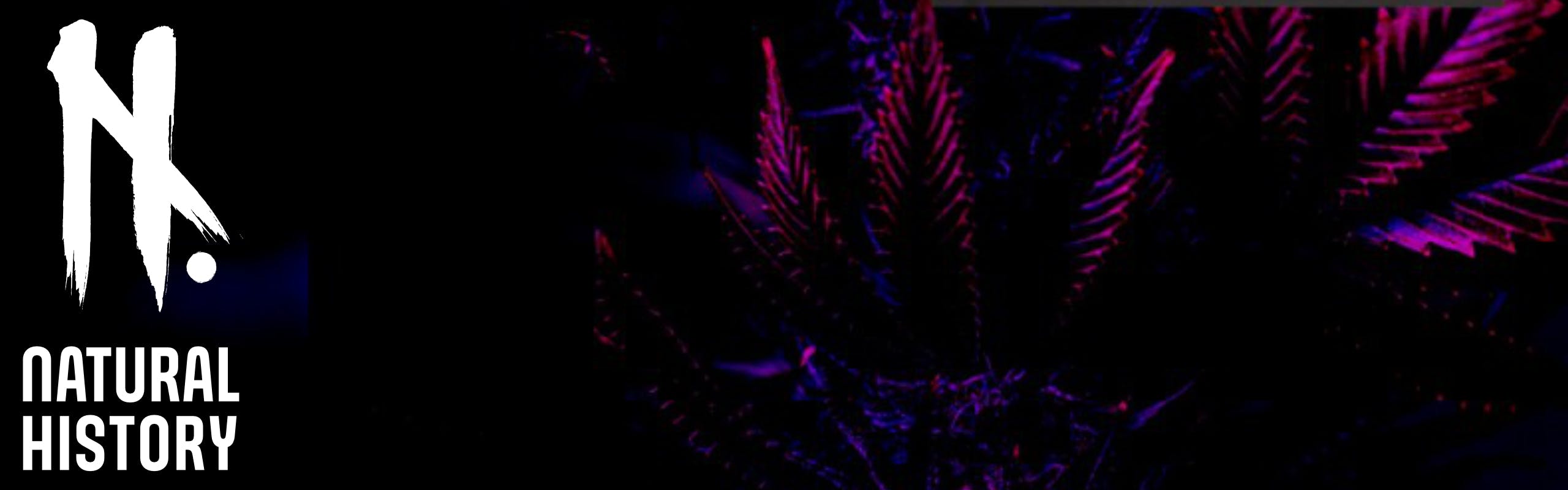 Natural History brand banner