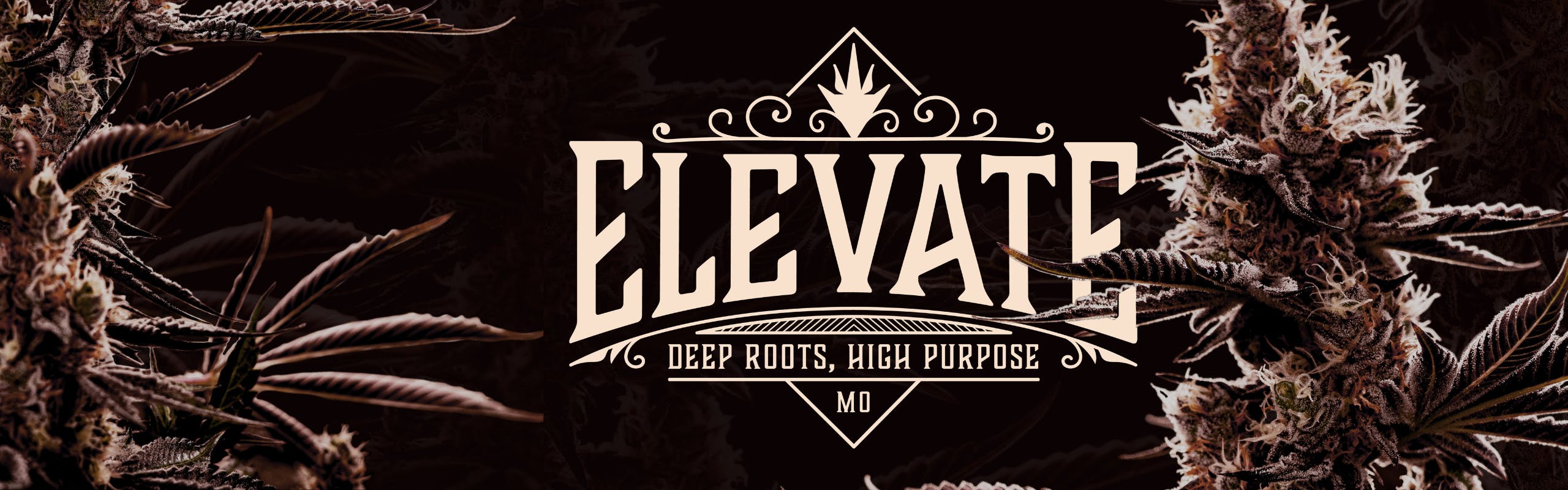 Elevate Missouri brand banner