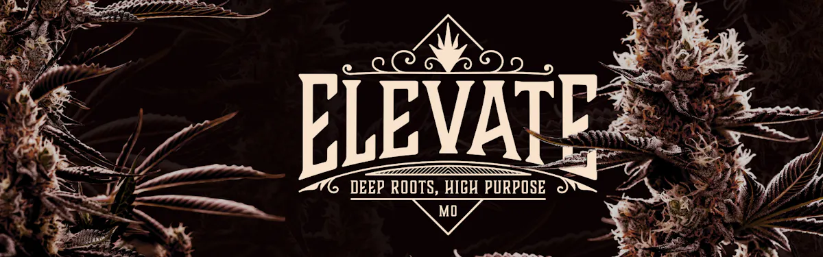 Elevate Missouri brand banner