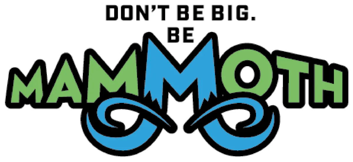 Mammoth Inc brand banner