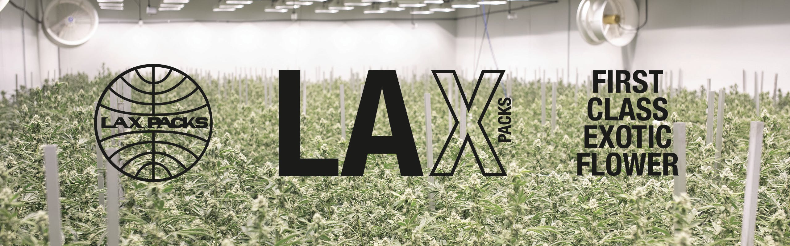LAX PACKS brand banner