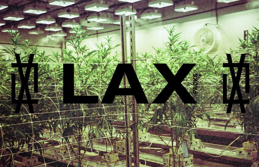 LAX PACKS brand banner