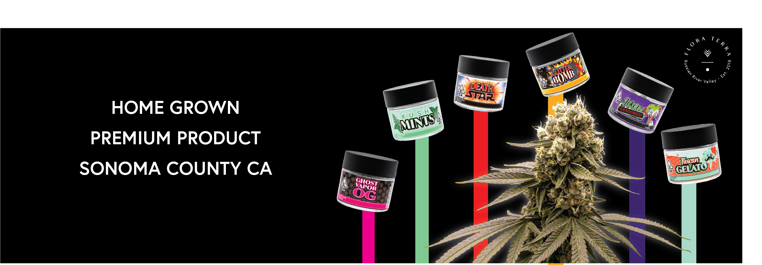 Flora Terra brand banner