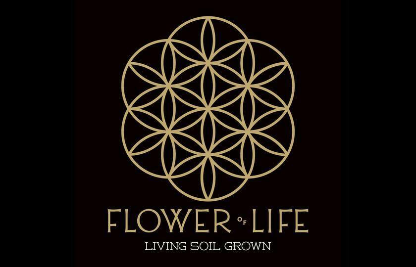 Flower of Life