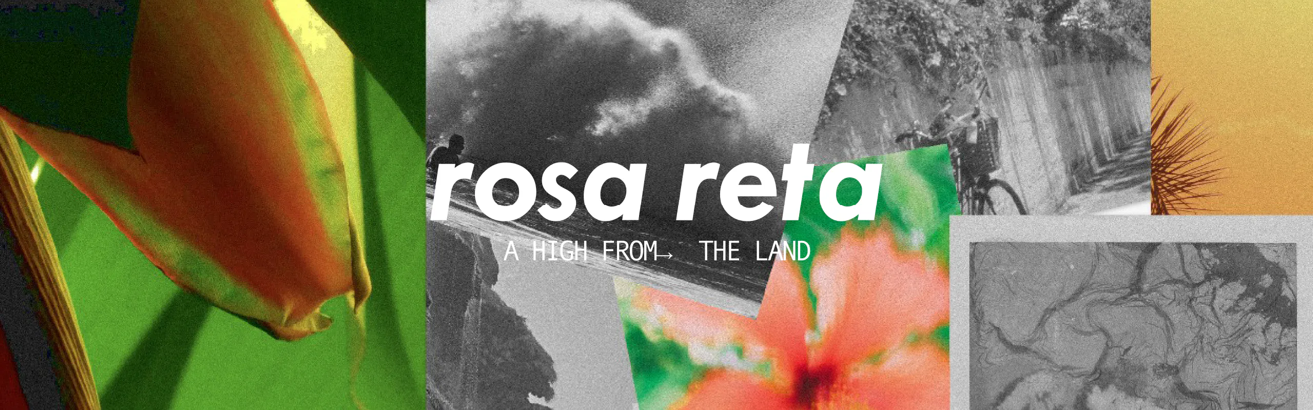 Rosa Reta brand banner