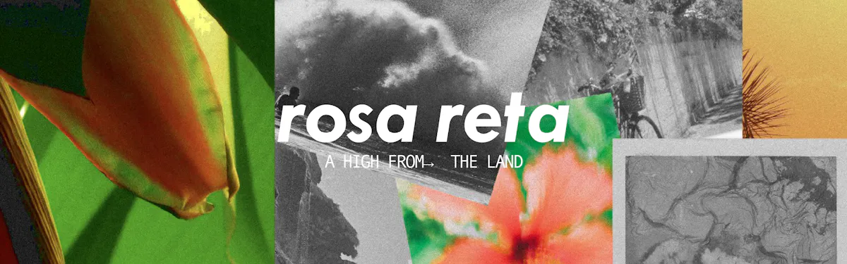 Rosa Reta brand banner