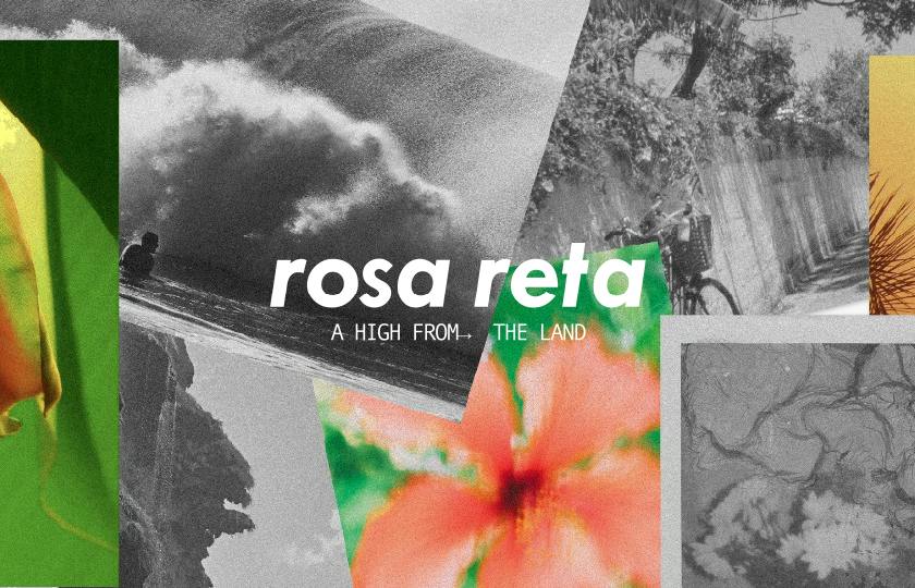 Rosa Reta