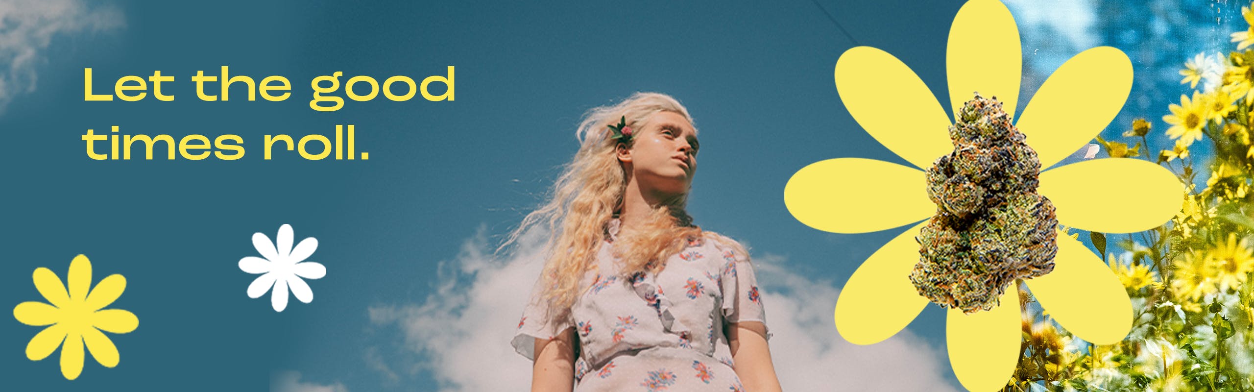 Crops Cannabis brand banner