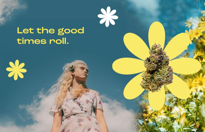 Crops Cannabis