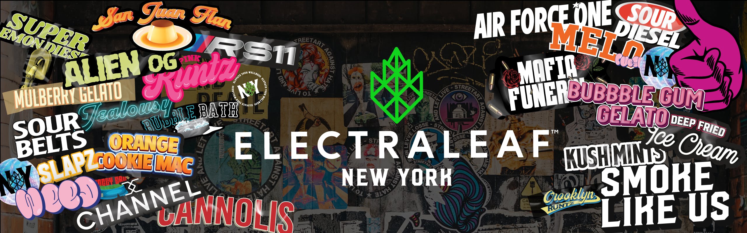 Electraleaf New York brand banner