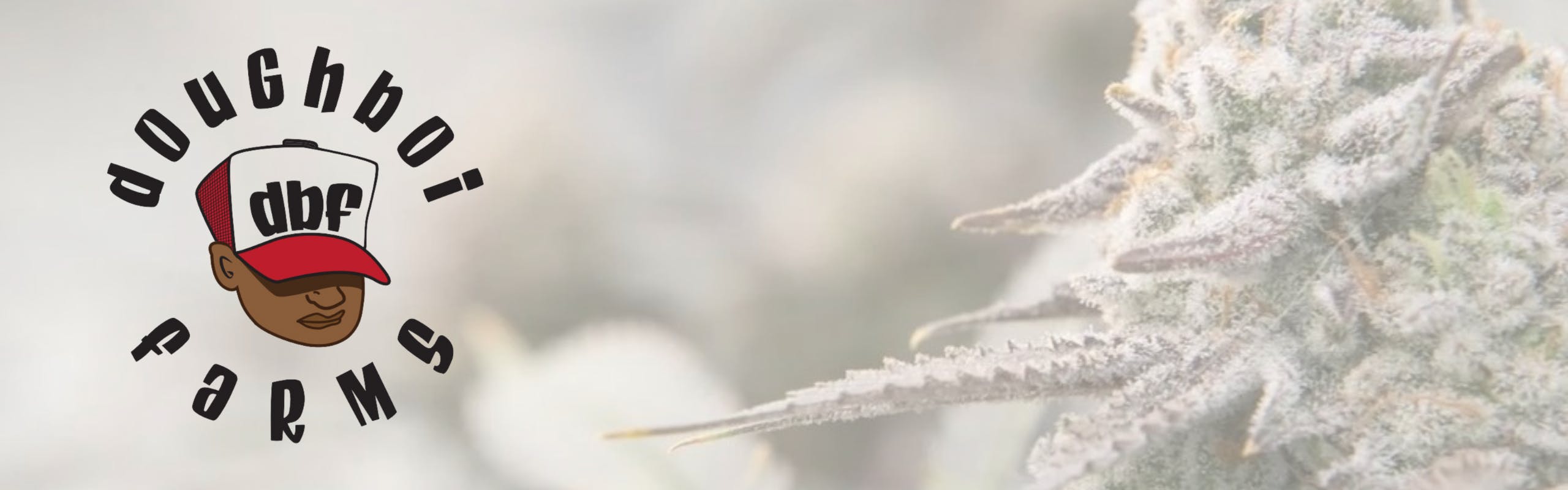 Doughboi Farms brand banner