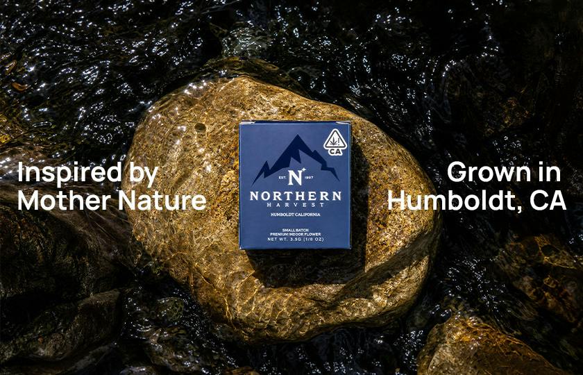 Northern Harvest