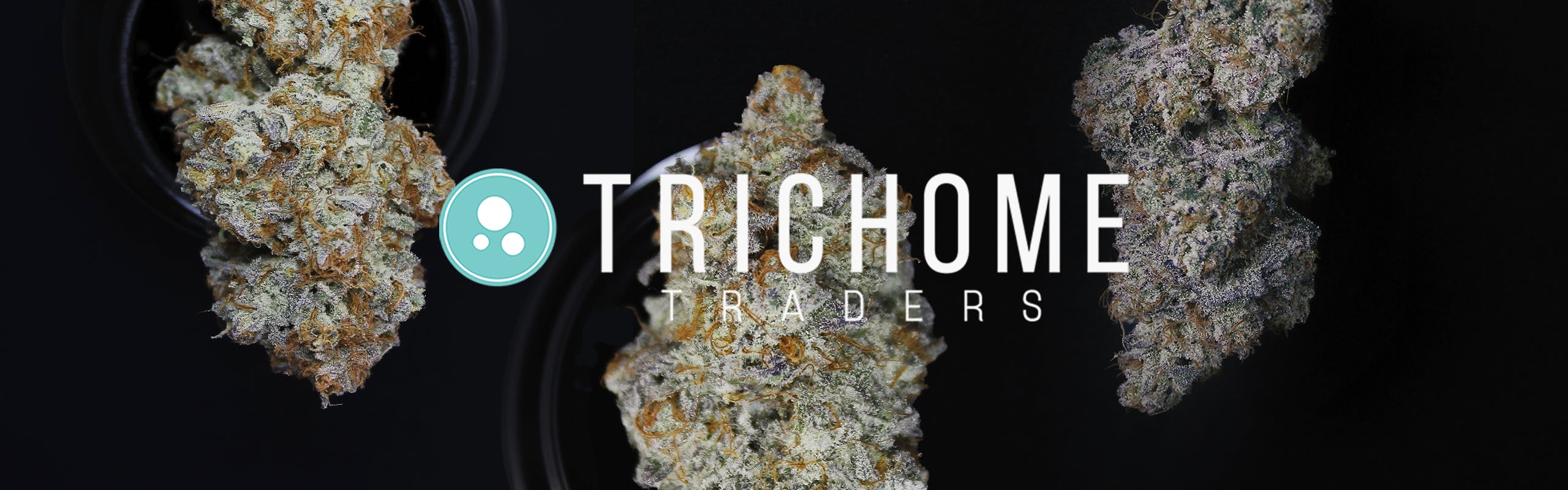 Trichome Traders brand banner