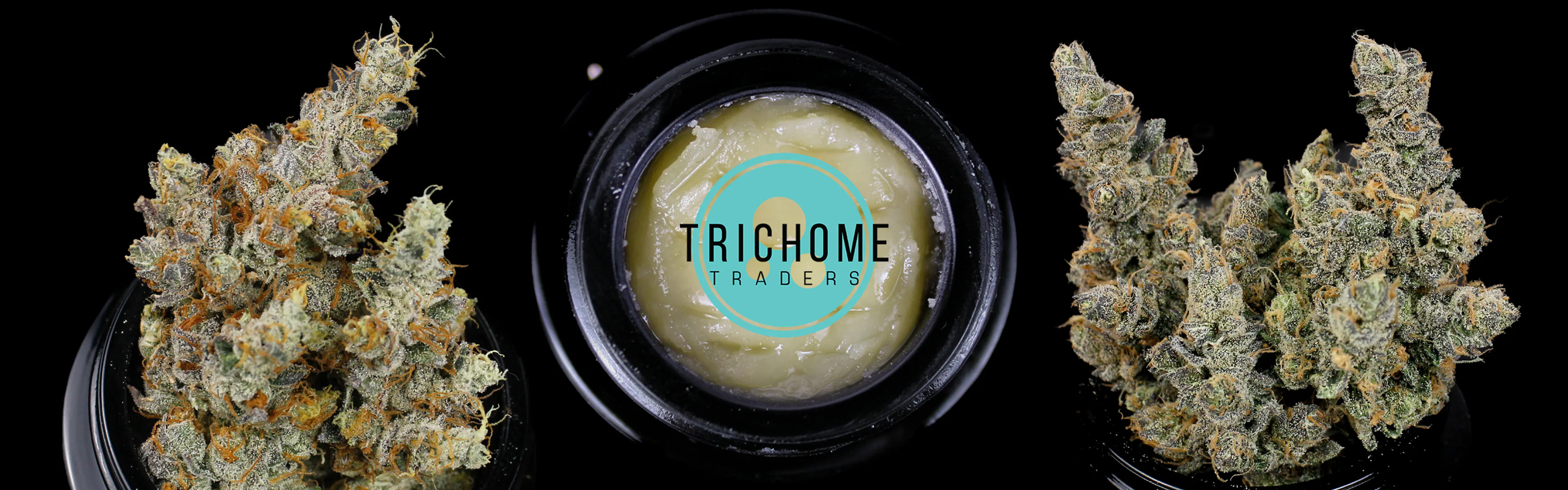Trichome Traders brand banner