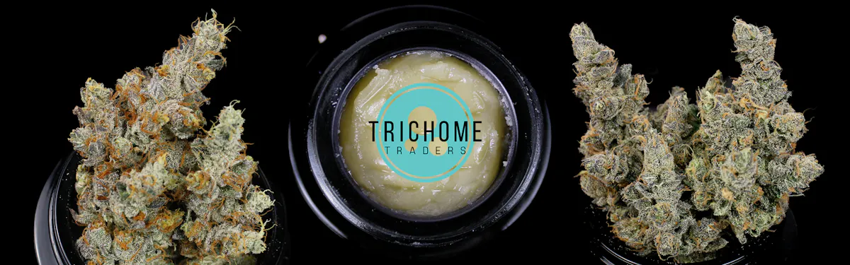 Trichome Traders brand banner