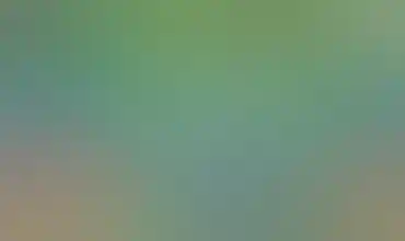Emerald Visions