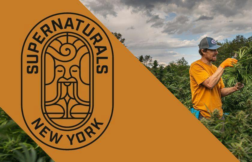 Supernaturals New York