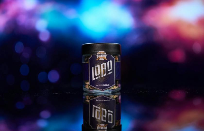 Lobo Cannagar