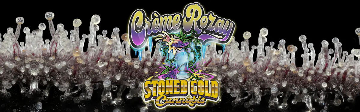 Stoned Cold Cannabis brand banner