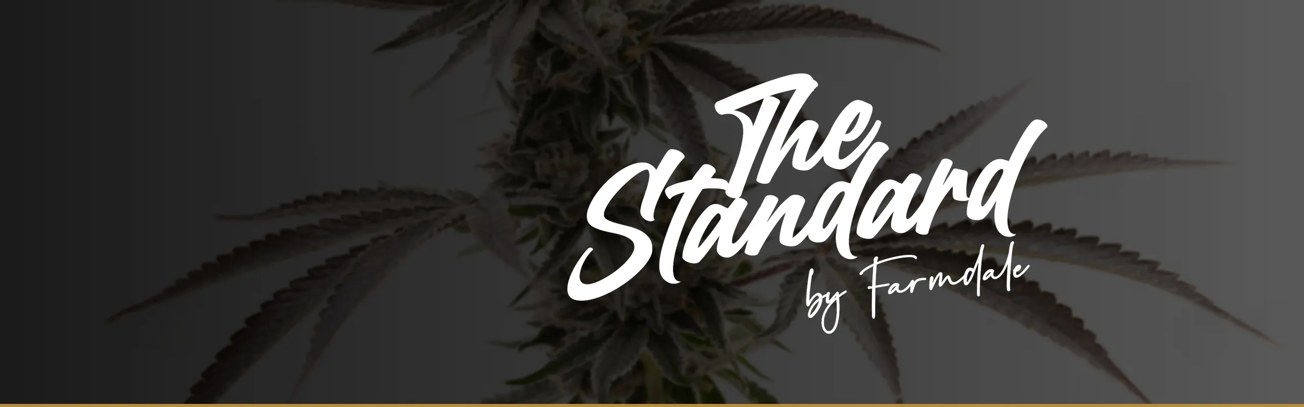 The Standard by Farmdale brand banner