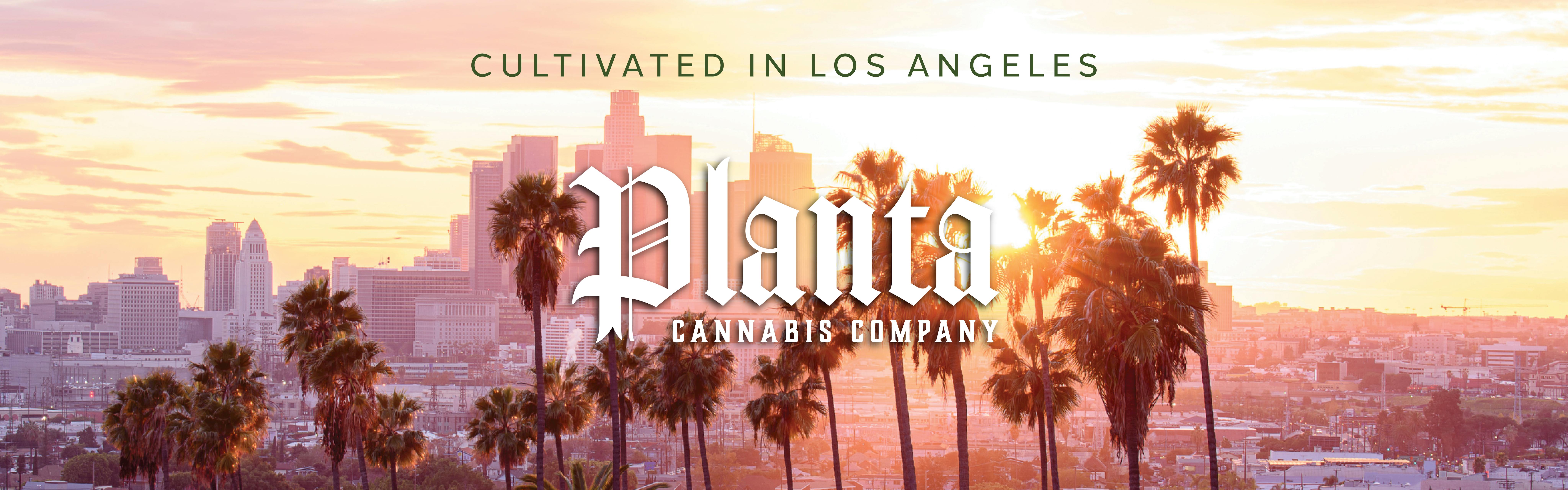 Planta Cannabis co brand banner