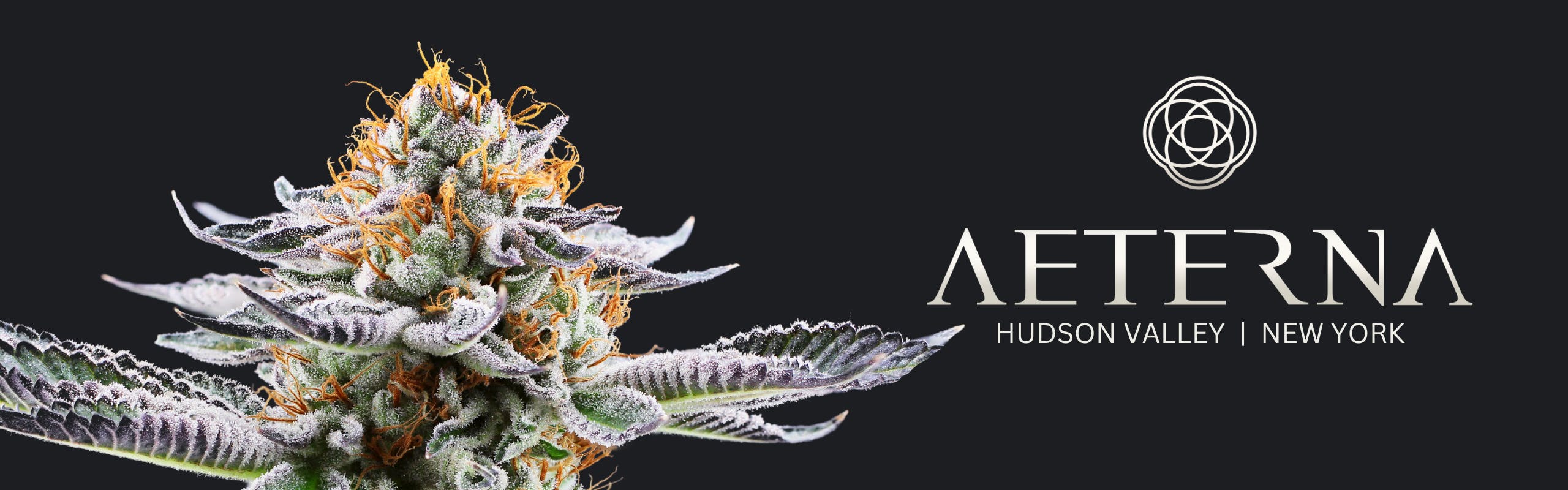 Aeterna brand banner